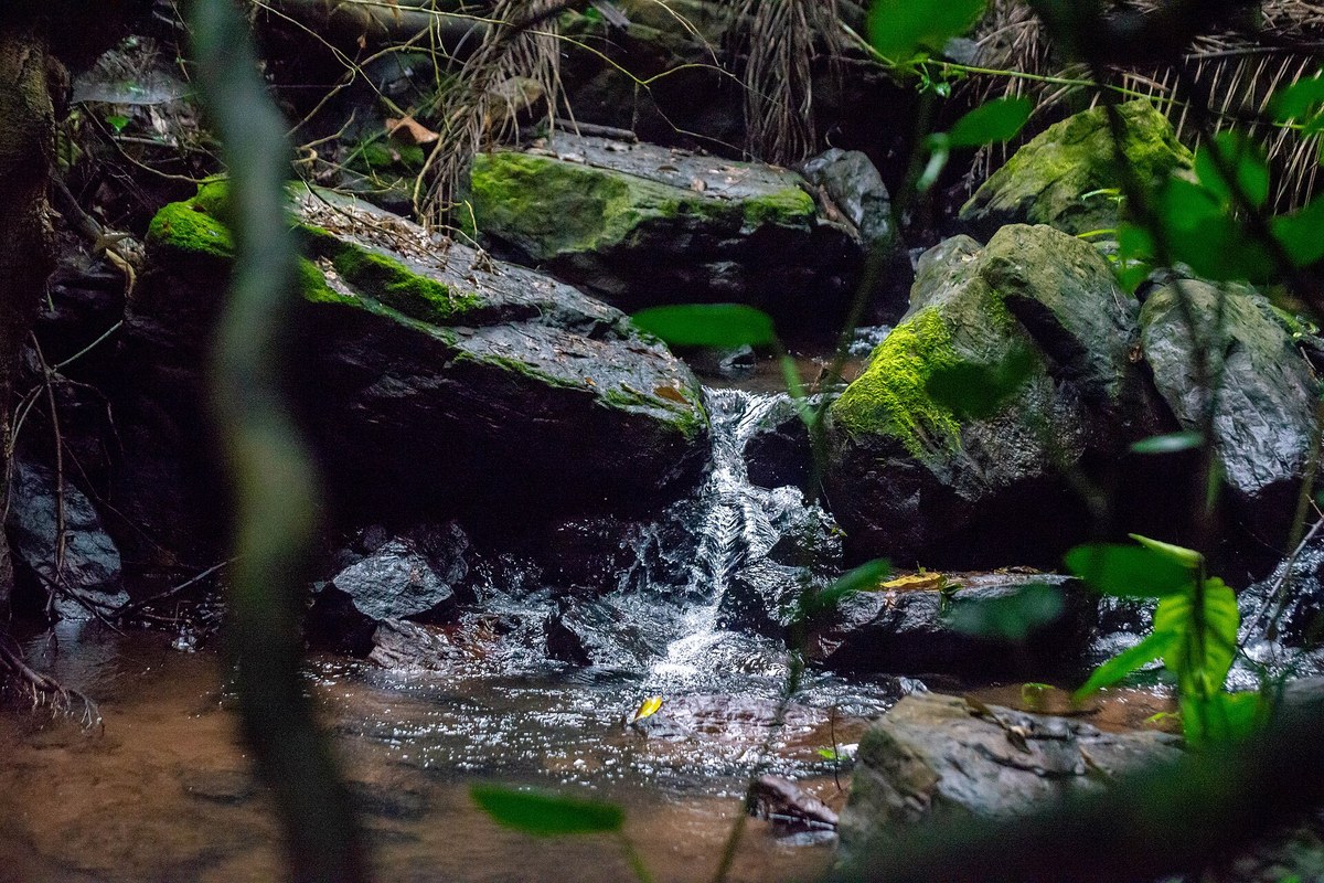 Coastal Rainforest Mud Season Gear Tweaks