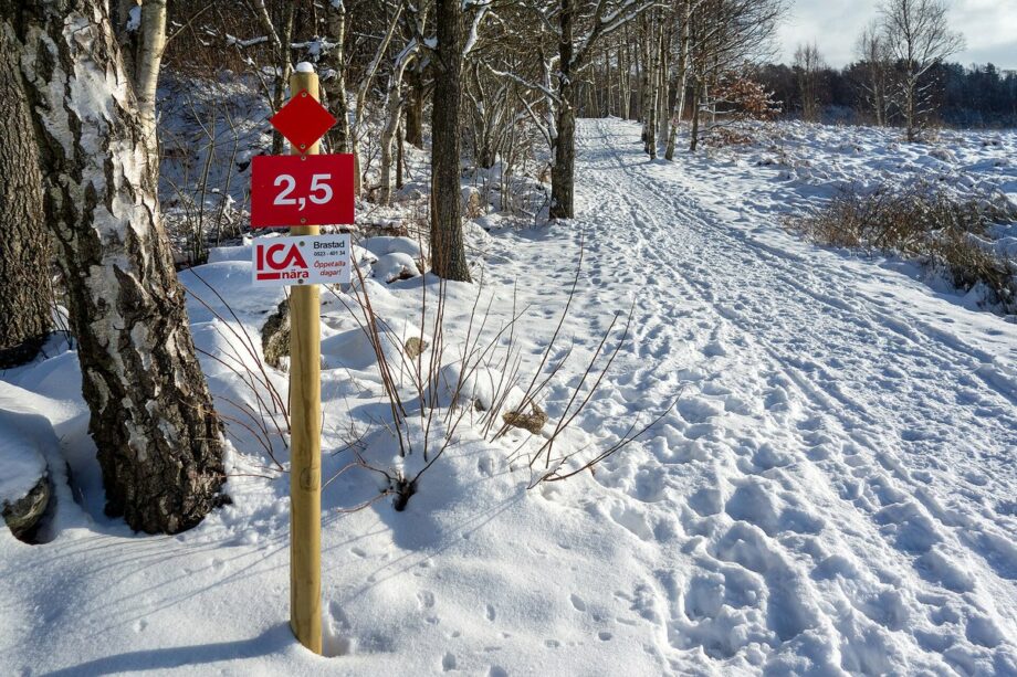 Microspikes Packed Snow - Northstar Outfitters outdoor gear guide