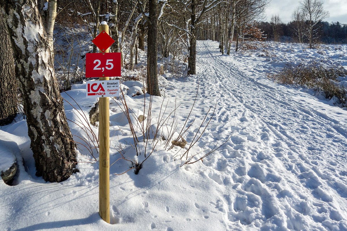 When to Put On Microspikes for Packed Snow