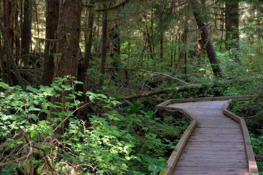 Rainy Boardwalk - Northstar Outfitters outdoor gear guide