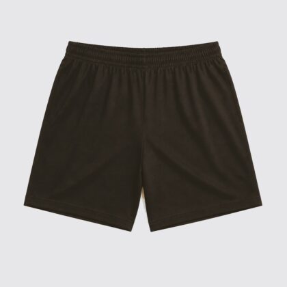 Tan Shorts — Northstar demo product catalog image